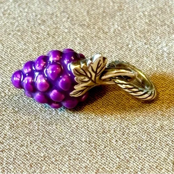 🆕 Brighton Grapeful Bunch charm Purple enamel grapes Silver leaves NWOT - Picture 3 of 7